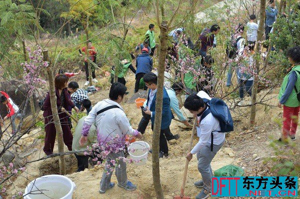 广东观音山国家森林公园